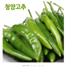 청량고추 120G  [포인트구매기1400원]